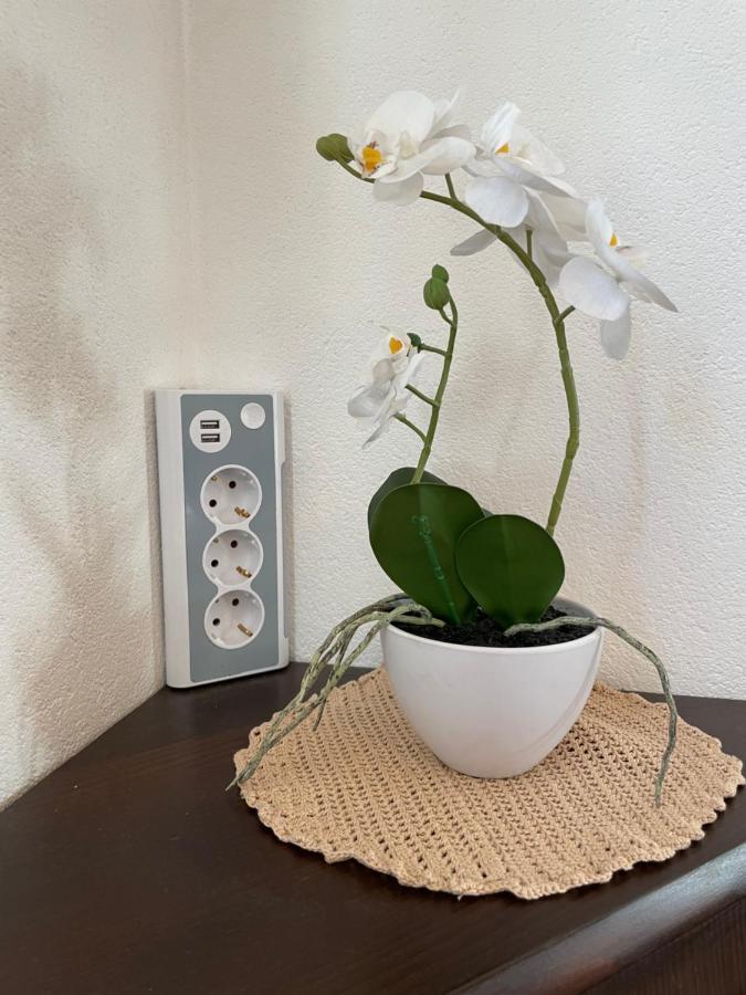Haus Wittig Apartman Sankt Ulrich am Pillersee Kültér fotó